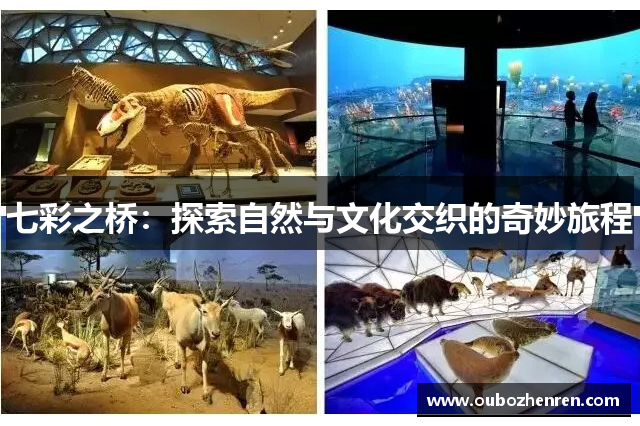 七彩之桥：探索自然与文化交织的奇妙旅程