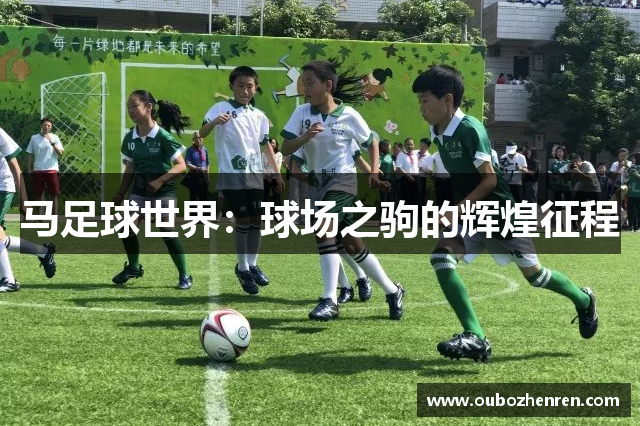 马足球世界：球场之驹的辉煌征程